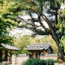 한국무예1관 | 용인 여행 국내 유일 전통문화 테마파크 한국민속촌
