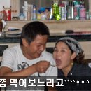 복민민박 Daum카페
