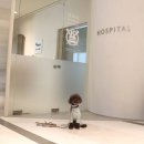 RAY바디스쿨 | 강아지 건강검진 일산 동물병원에서 한쪽 발 드는 현상으로 재활 프로그램까지