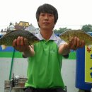 장천보양탕 이미지