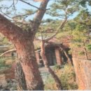 선잠로 92 네이버블로그