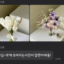 시싱허스트 이미지