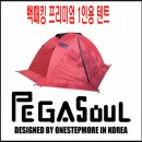 Pegasoul 1 person backpack tent 이미지