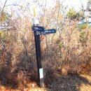 옥녀봉공원 이미지