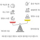 영양레드팜 이미지