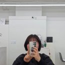 원지카클리닉 2호점 | 대전 둔산동 미용실 헤어클리닉 후기｜에이노이헤어 대전둔산2호점에서 느낀 차이