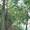 정양늪생태공원 이미지