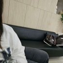 세란의원 이미지