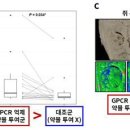 "부러진 뼈·치아에 '이것' 넣으니 되살아나" 새 재생 유도 기전 찾았다 이미지