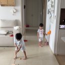 주식회사 블루앤텍 | 2025년 8월-2. 육아일상 (문도 픽사 전시회, 블루엘리펀트, 스무드무드, 포인트오브뷰, 맥파이앤타이거)