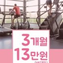 아나토미 스트랭스 이미지