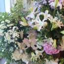 그린예식장 이미지