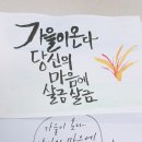더줌교육연구소