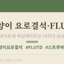 더도울(THE DOUL) | 고양이 결석, 녹는 것과 안 녹는 것이 있다? — 요로결석·FLUTD 식이 완전정리 (논문 18편)