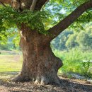 용성3리경로당 이미지