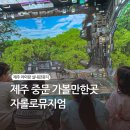 해피휴 | 제주 중문 가볼만한곳 아이랑 다녀온 미디어아트 자롤로뮤지엄