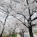 충훈터널 입구 이미지