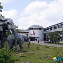 경주대박물관 이미지