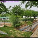 옥정보건진료소 이미지