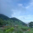 시골막걸리 이미지