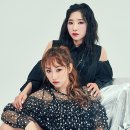 위너아이스 이미지