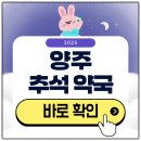 양주약국 | 양주 추석 문 여는 약국 검색하기 2025