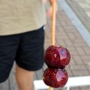 고양시 일산 맛집 삼송술집 왕기샤브샤브 + 왕가탕후루 고양삼송점 드디어 먹어 본 후기