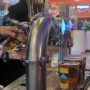 Playa | 파리 Tiki Playa 후기 / 파리 로컬 맥주집 추천 / 50cl 4유로 생맥주 / 파리 로컬 추천 / 1구 맛집