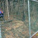 수덕고개식당 이미지