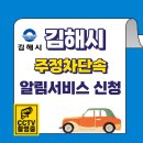 주정차 단속 - 004 이미지