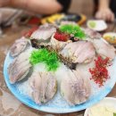 돌고래수산