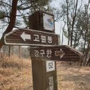 숭덕사 고불봉 등산로 입구 | 봉화산(141m), 고불봉(235m) 경상북도 영덕군 강구면