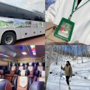 모드니여행사 | 경기 고양 파주 [고파둘 모드니 여행사] 고파둘 인제 자작나무 숲 여행 상품 이용 후기 🚌