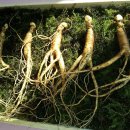 동의당한약국 이미지