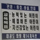 용인대 대동 태권도 네이버블로그