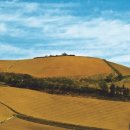 아리바우길 이미지