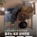 미소전집 | 아기전집 그레이트북스 춤추는포포 세계 창작동화 구성 및 후기