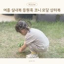 아기 여름 실내복 추천 코니 모달 유아 상하복