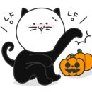 꼬마꼬꼬 이미지