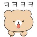 주식회사 웰녹