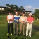 경포파인 이미지