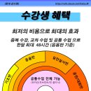 살사엠 이미지