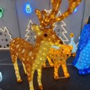 담소앤테라피 제이온 이미지