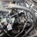 경성스포츠 이미지