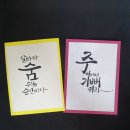 샬롬캘리