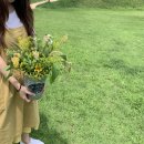 생활플라워 이미지