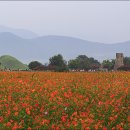 울산 교육원(운재원장님) 첫날 ^^ 이미지