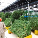 익산시농업기술센터 이미지