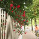 우방타운 이미지