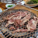 싱싱당구장 이미지